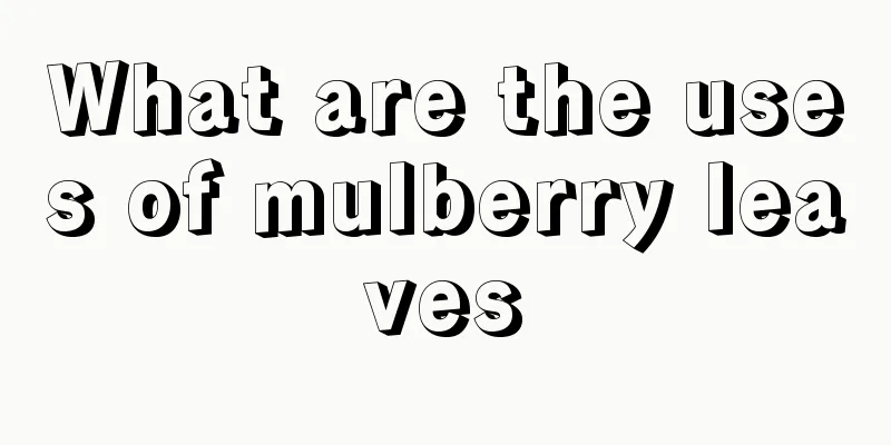 What are the uses of mulberry leaves