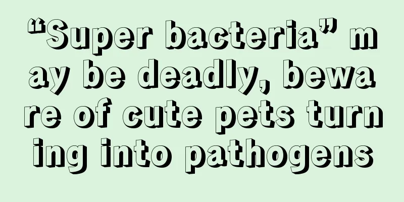 “Super bacteria” may be deadly, beware of cute pets turning into pathogens