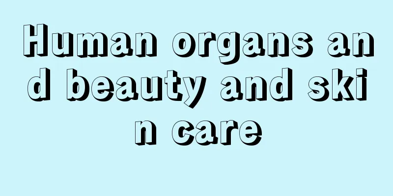 Human organs and beauty and skin care
