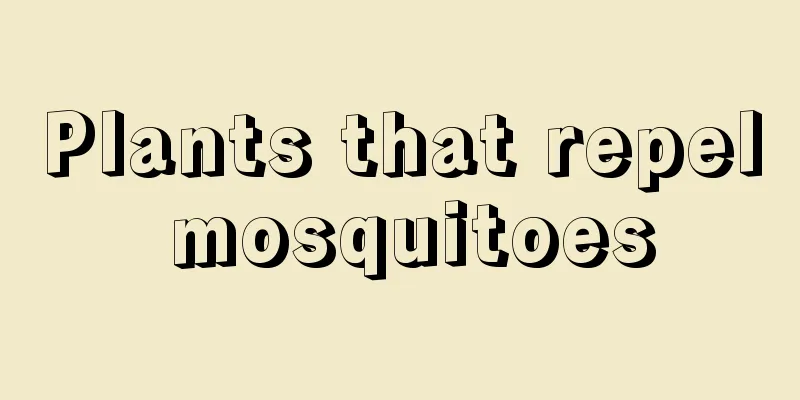 Plants that repel mosquitoes