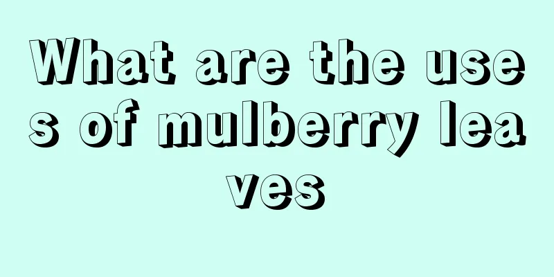 What are the uses of mulberry leaves