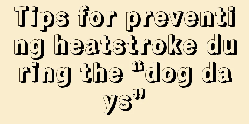 Tips for preventing heatstroke during the “dog days”