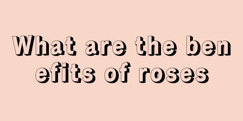 What are the benefits of roses