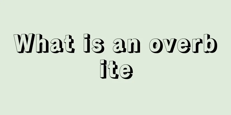 What is an overbite