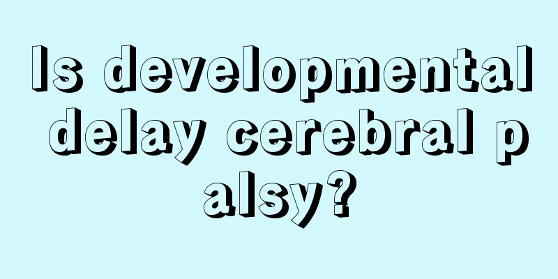 Is developmental delay cerebral palsy?