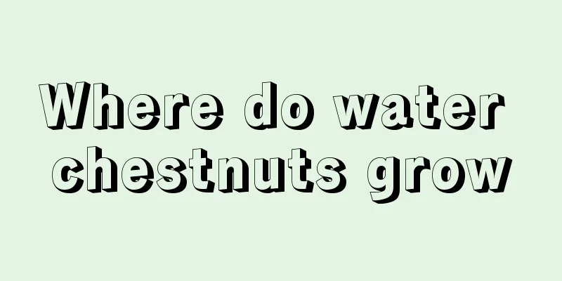 Where do water chestnuts grow