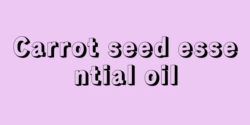 Carrot seed essential oil