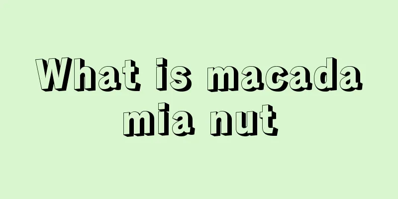 What is macadamia nut