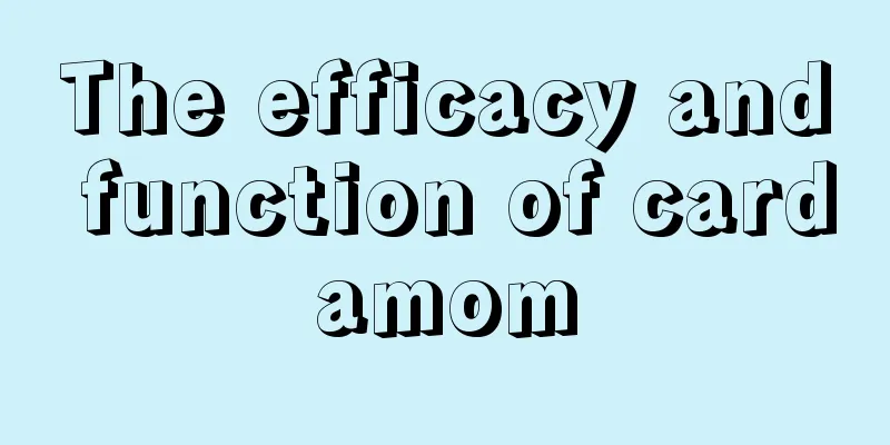 The efficacy and function of cardamom