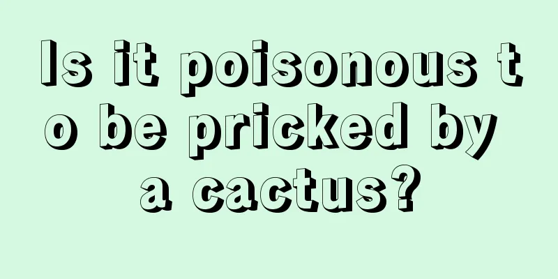 Is it poisonous to be pricked by a cactus?
