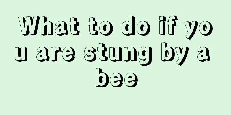 What to do if you are stung by a bee