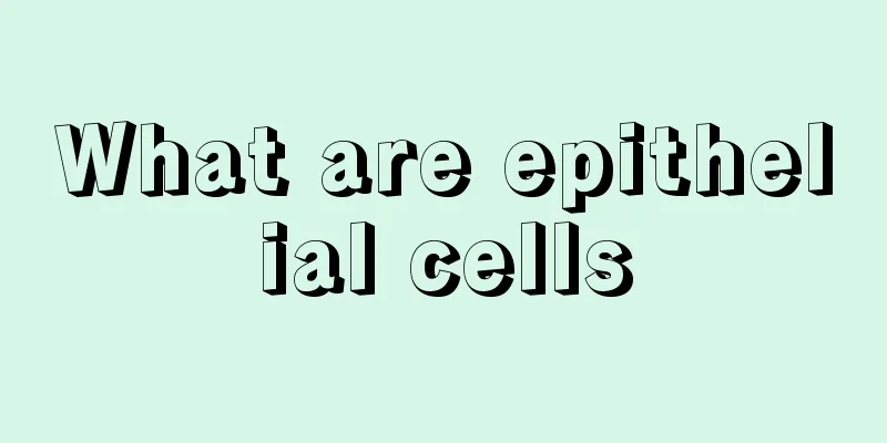 What are epithelial cells