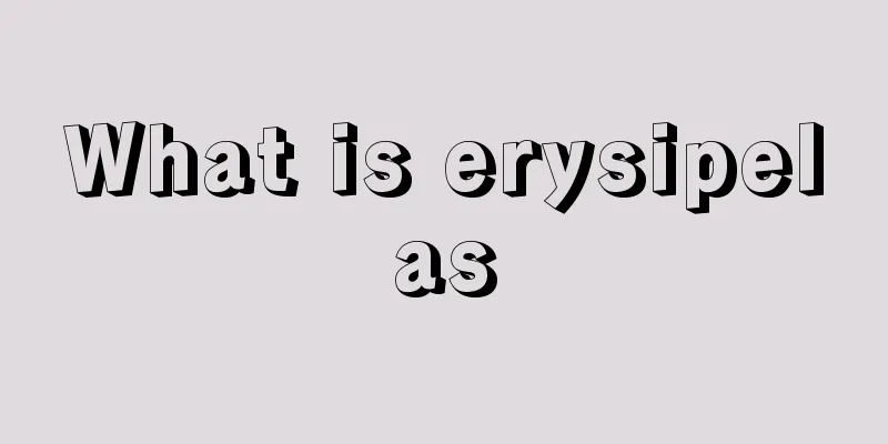 What is erysipelas