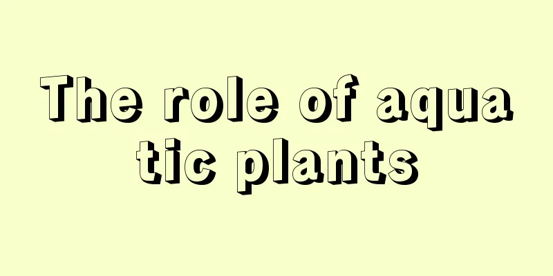 The role of aquatic plants