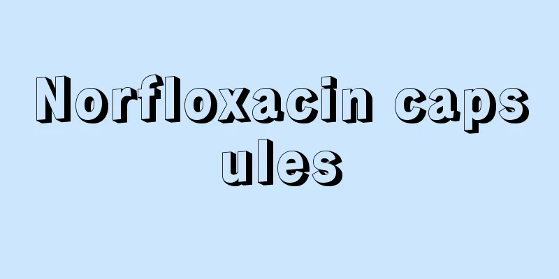 Norfloxacin capsules