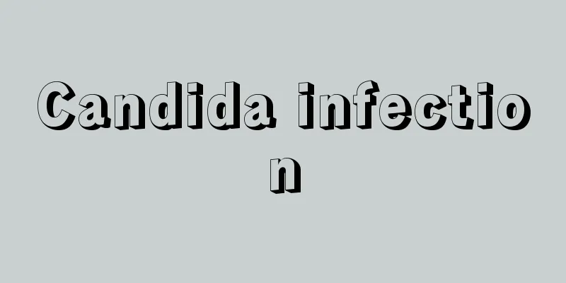 Candida infection