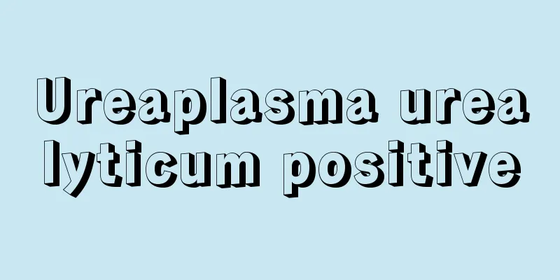 Ureaplasma urealyticum positive
