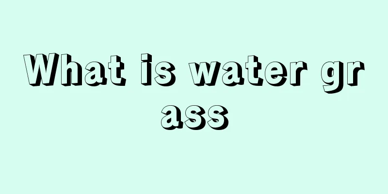 What is water grass