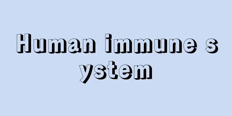 Human immune system