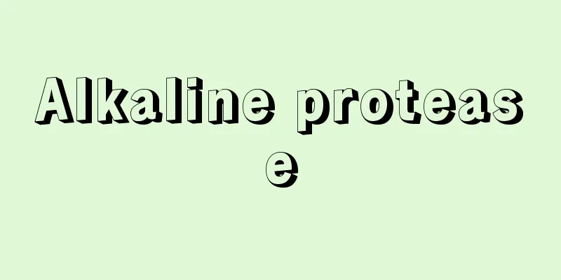 Alkaline protease