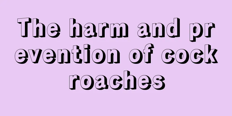 The harm and prevention of cockroaches