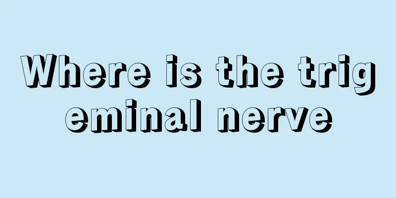 Where is the trigeminal nerve