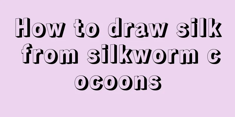 How to draw silk from silkworm cocoons