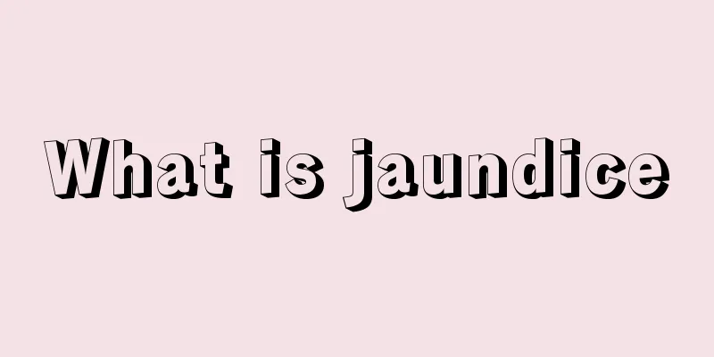 What is jaundice