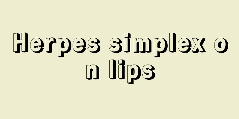 Herpes simplex on lips