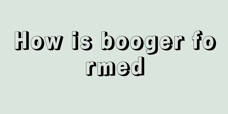 How is booger formed