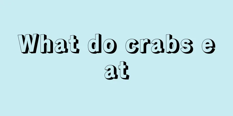 What do crabs eat