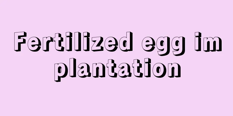 Fertilized egg implantation