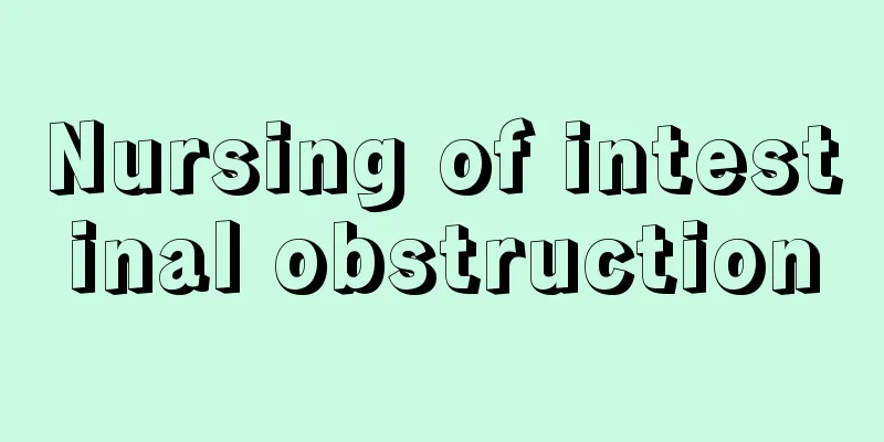 Nursing of intestinal obstruction