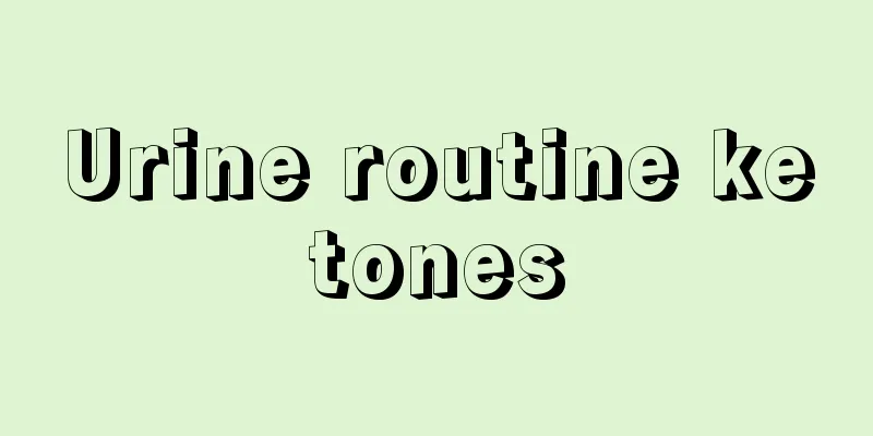 Urine routine ketones