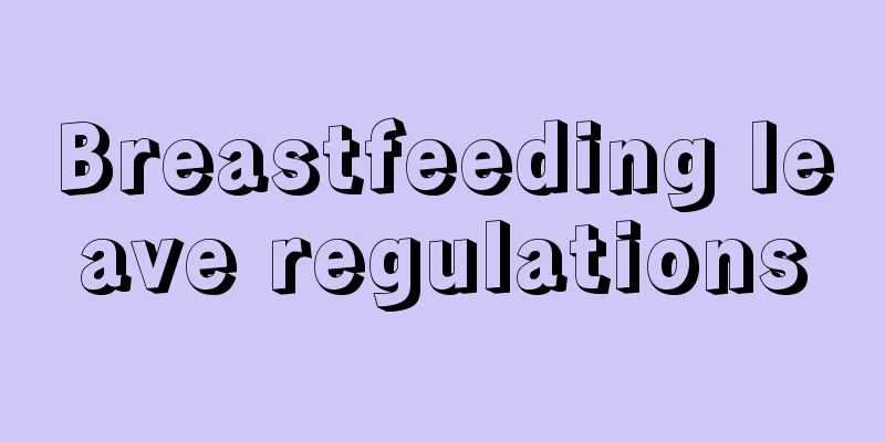 Breastfeeding leave regulations