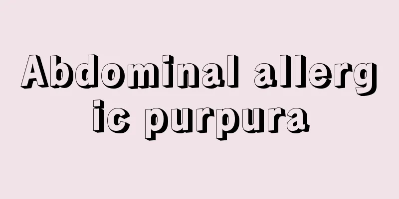 Abdominal allergic purpura