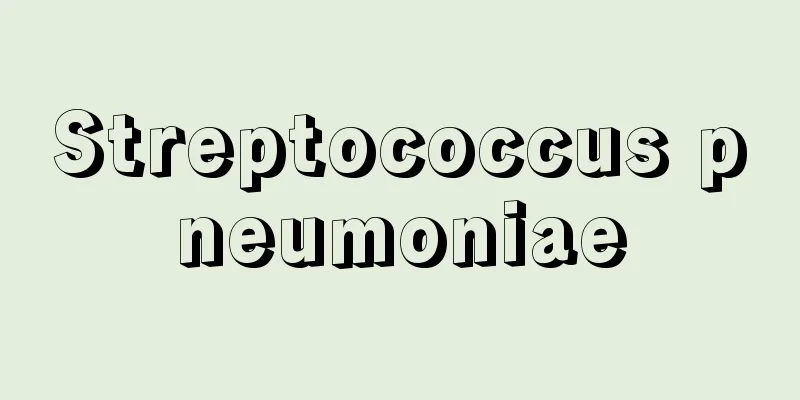 Streptococcus pneumoniae