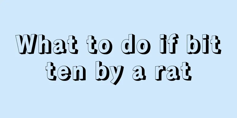 What to do if bitten by a rat