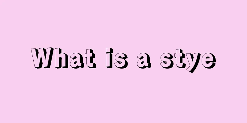 What is a stye