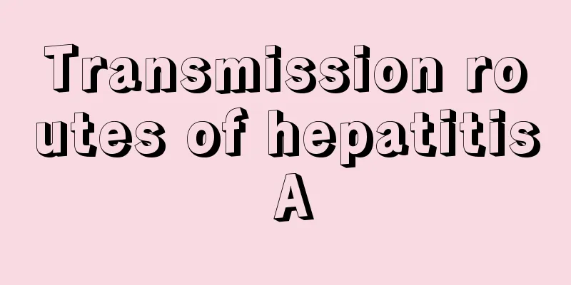 Transmission routes of hepatitis A
