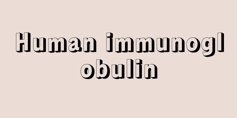 Human immunoglobulin