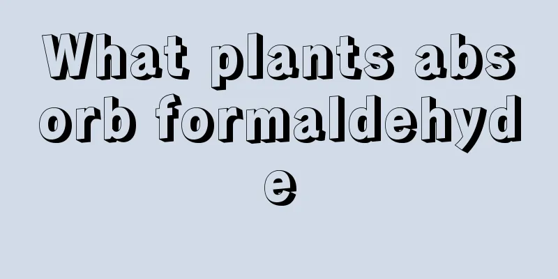 What plants absorb formaldehyde