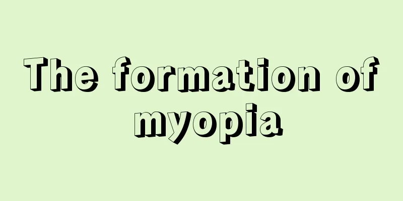 The formation of myopia