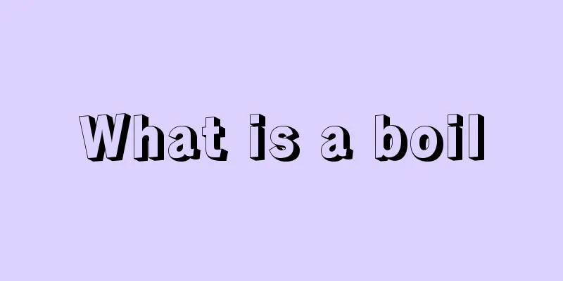 What is a boil