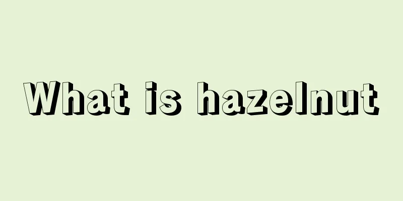 What is hazelnut