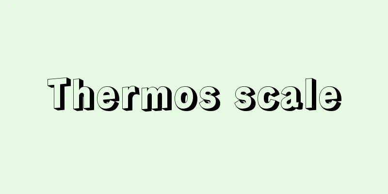 Thermos scale