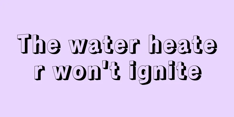 The water heater won't ignite