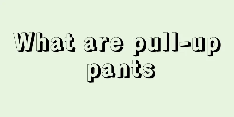 What are pull-up pants