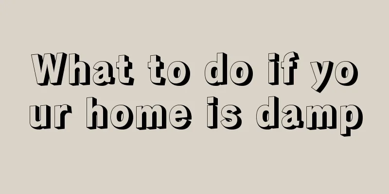 What to do if your home is damp