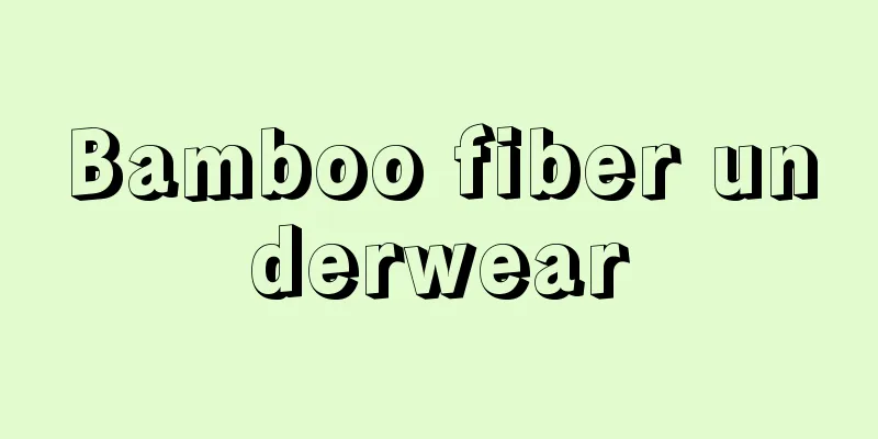 Bamboo fiber underwear